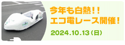 ťԲ񳫺 2024ǯ1013