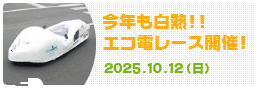 ťԲ񳫺 2025ǯ1012